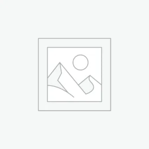 Executive Portrait Session